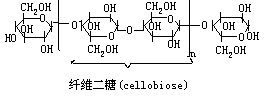 丁香实验推荐阅读