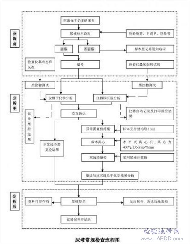 丁香实验推荐阅读