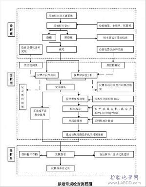 丁香实验推荐阅读