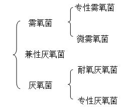 丁香实验推荐阅读