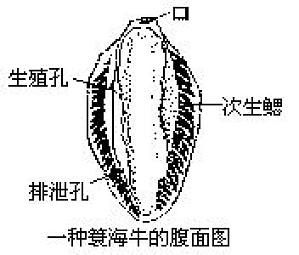 丁香实验推荐阅读
