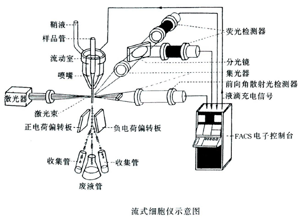 丁香实验推荐阅读