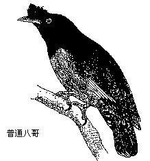 丁香实验推荐阅读