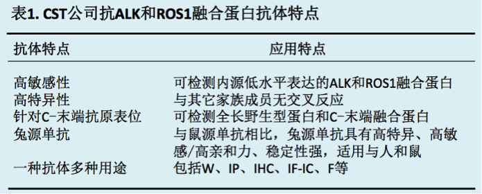 丁香实验推荐阅读