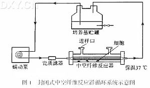 丁香实验推荐阅读