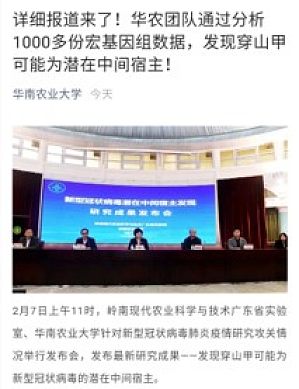 丁香实验推荐阅读