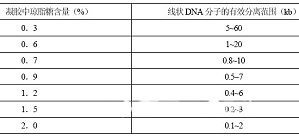 丁香实验推荐阅读