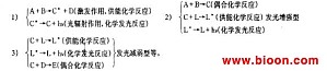 丁香实验推荐阅读