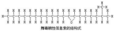 丁香实验推荐阅读