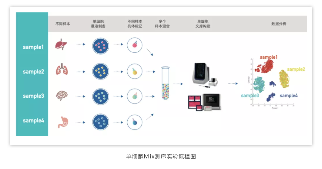 丁香实验推荐阅读