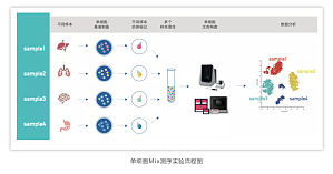 丁香实验推荐阅读