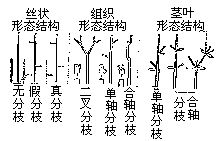 丁香实验推荐阅读