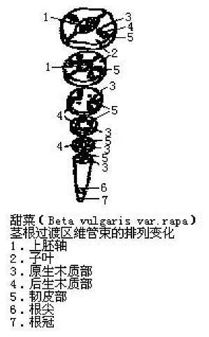 丁香实验推荐阅读
