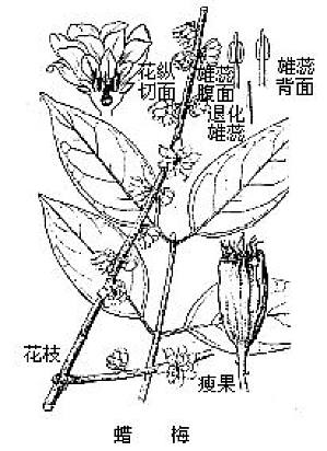 丁香实验推荐阅读