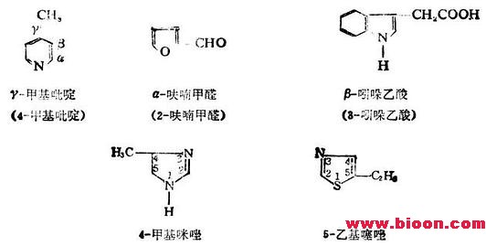 丁香实验推荐阅读