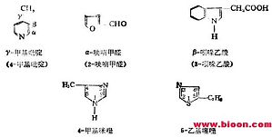 丁香实验推荐阅读