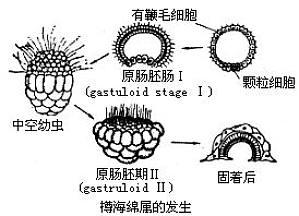 丁香实验推荐阅读