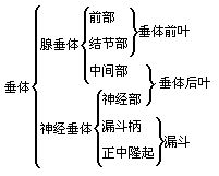 丁香实验推荐阅读