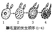 丁香实验推荐阅读