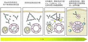 丁香实验推荐阅读