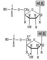 丁香实验推荐阅读