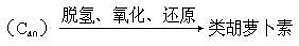 丁香实验推荐阅读