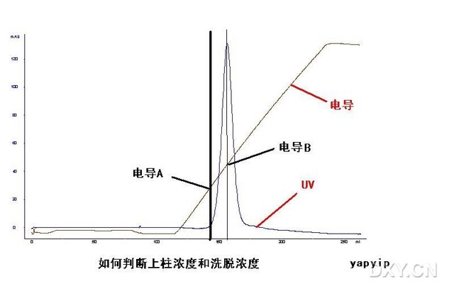 丁香实验推荐阅读