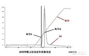 丁香实验推荐阅读