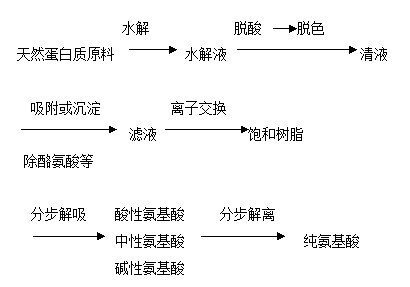 丁香实验推荐阅读