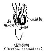 丁香实验推荐阅读