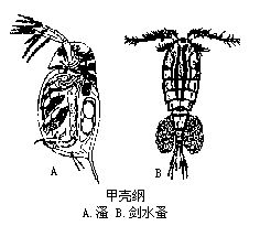 丁香实验推荐阅读