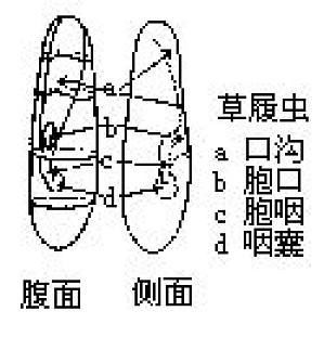 丁香实验推荐阅读
