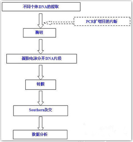 丁香实验推荐阅读