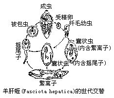 丁香实验推荐阅读