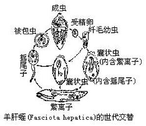 丁香实验推荐阅读