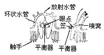 丁香实验推荐阅读