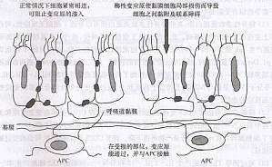 丁香实验推荐阅读