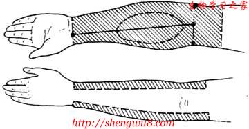 丁香实验推荐阅读