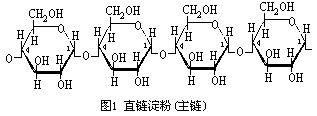 丁香实验推荐阅读