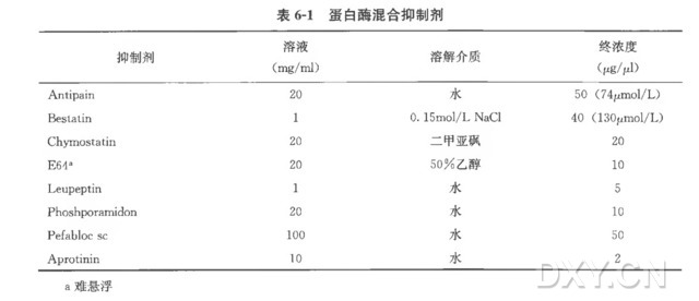 丁香实验推荐阅读