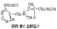 丁香实验推荐阅读