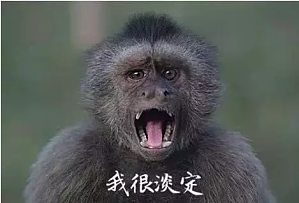 丁香实验推荐阅读