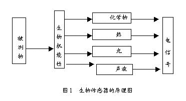 丁香实验推荐阅读