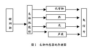 丁香实验推荐阅读