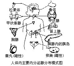 丁香实验推荐阅读