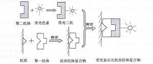 丁香实验推荐阅读