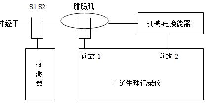 丁香实验推荐阅读