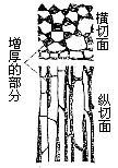 丁香实验推荐阅读