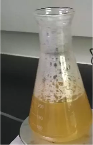 丁香实验推荐阅读