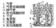 丁香实验推荐阅读